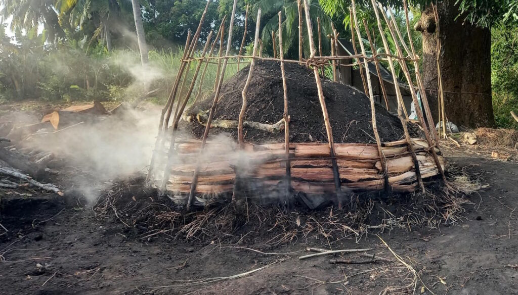 charcoal deforestation jihatsu eco farm