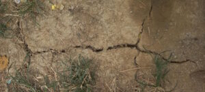 cracked soil jihatsu eco farm