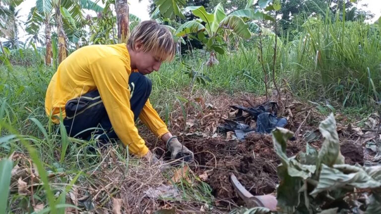 man digging planting tree